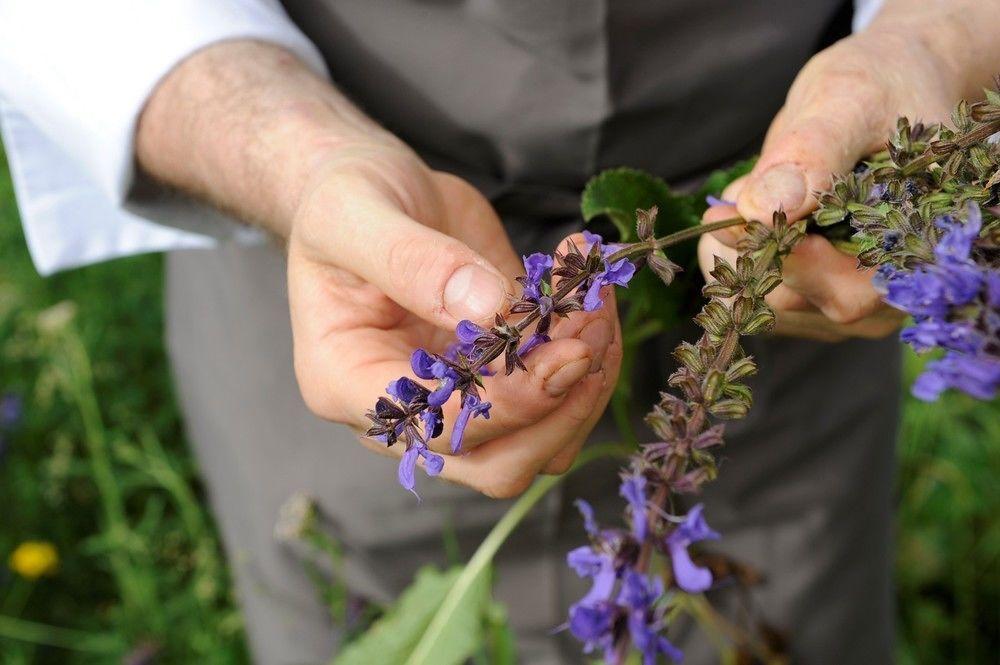 Engel Gourmet&Spa Nova Levante Zewnętrze zdjęcie